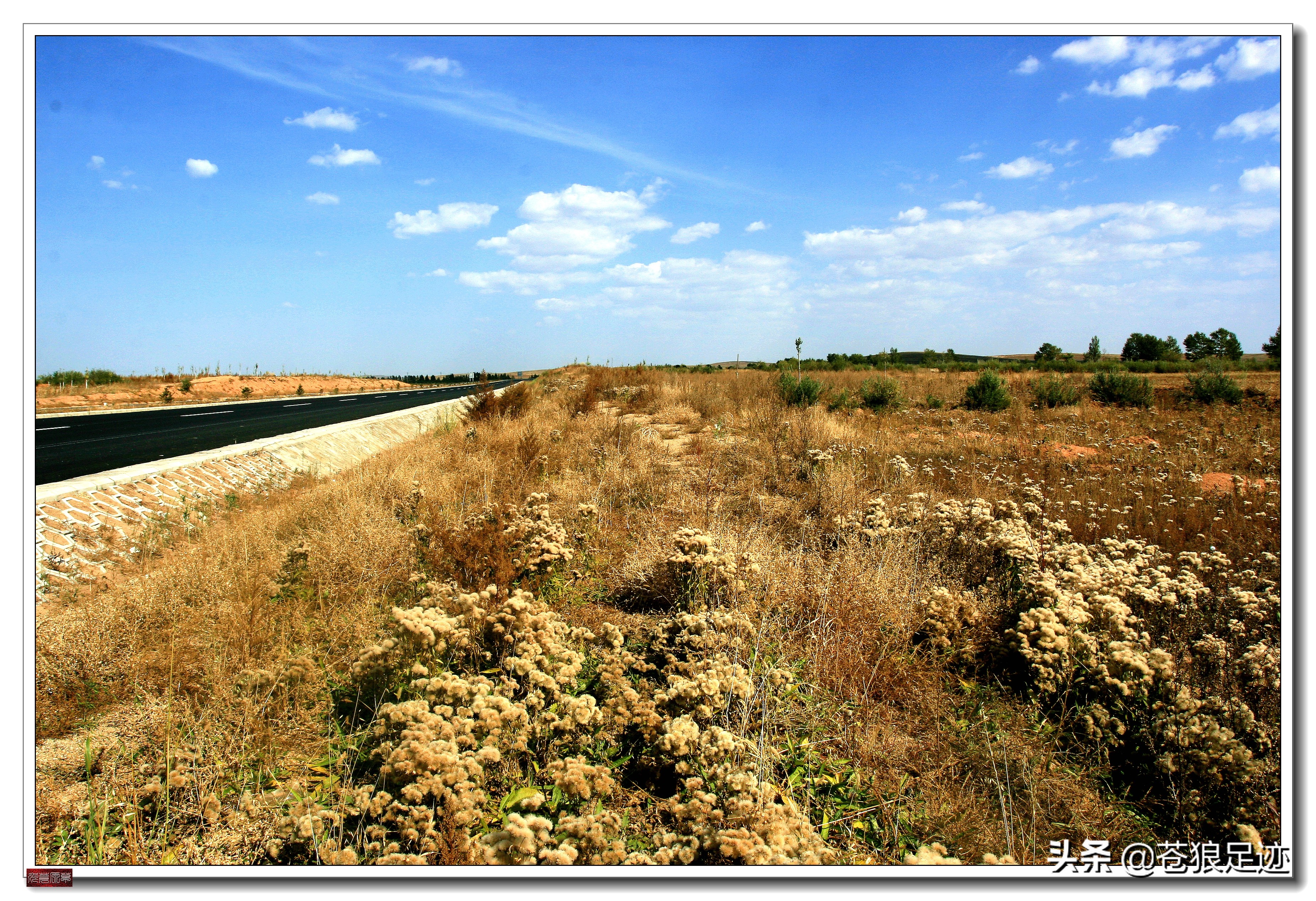 野阔牛羊同雁鹜——雄浑壮阔的贡格尔草原