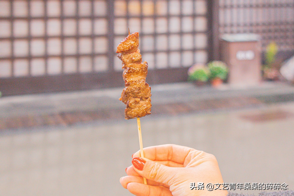 冬季日本的自驾游攻略,冬日游日本名古屋攻略