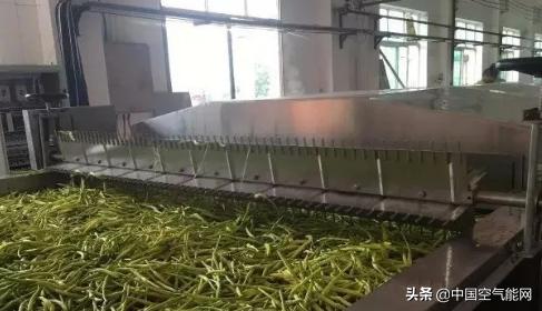 黄花菜采摘后怎么处理烘干,下雨天黄花菜蒸熟了怎样烘干