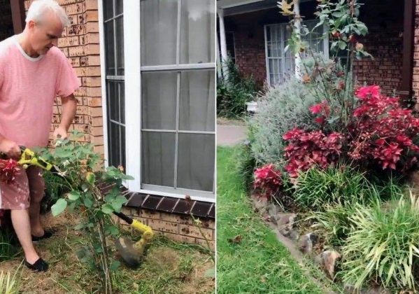 中国大妈来澳洲探亲,把女婿的花园改成了菜地,女婿看完表情亮了