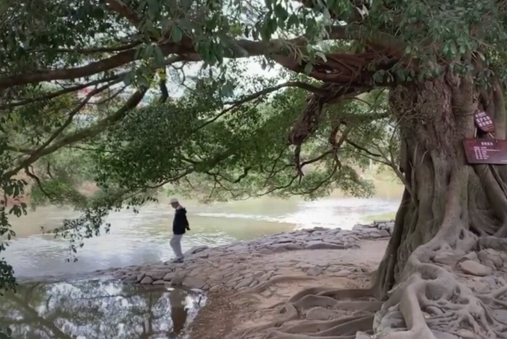 漳州南靖云水谣旅游攻略几公里,福建漳州南靖云水谣之旅