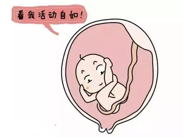 请给我一次机会原创,医生让我选择顺产