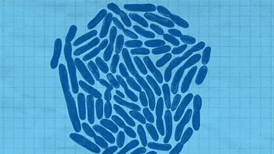 酒精伤肤烂脸,烂脸毁容怎么办