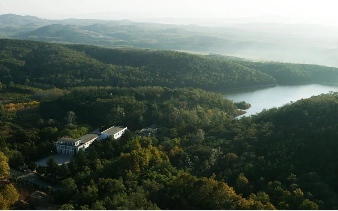 文登西洋参园,天福山文登