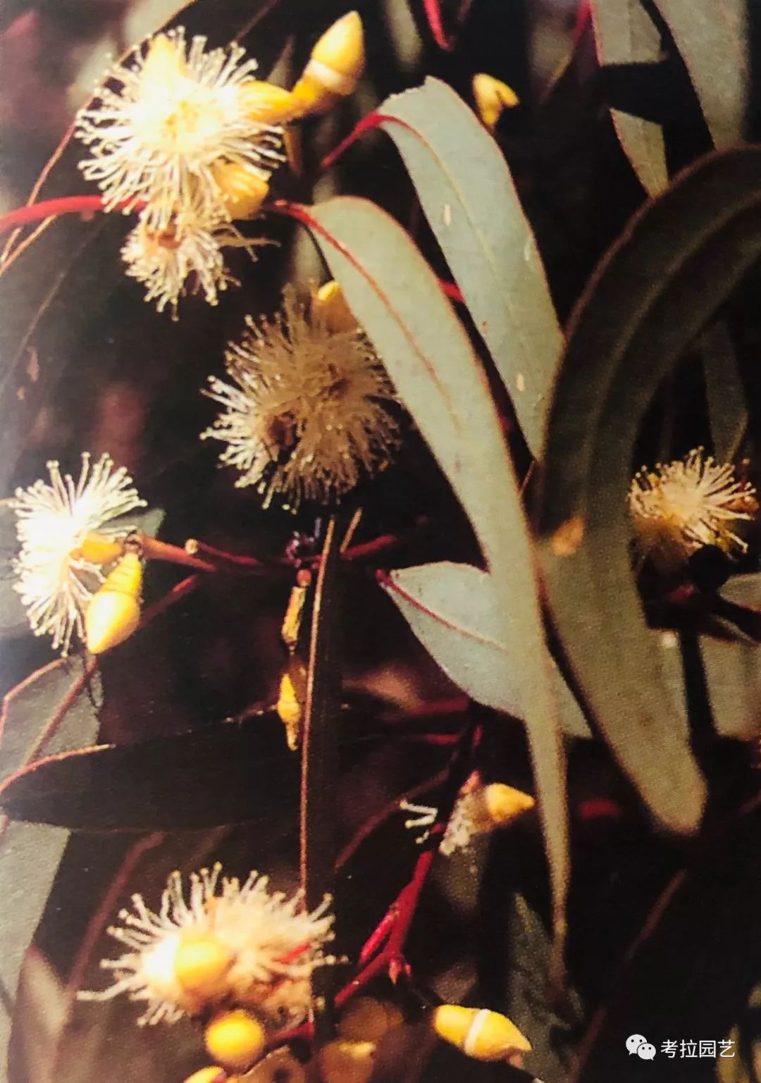 大地的恩赐图片,大地的馈赠是大天域吗