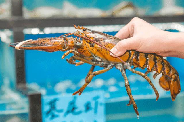 榆记港式打边炉火锅塞维兰蒂斯店,耿先生港式打边炉火锅团购套餐