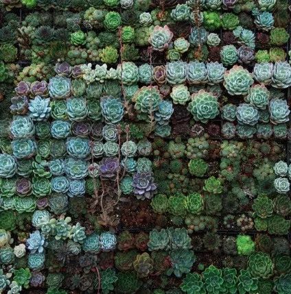 6步开始冥想，扫除一切不耐烦