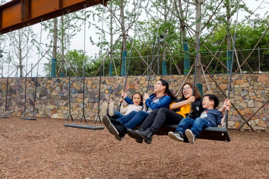 矿坑改造最美公园,矿坑改造湿地公园视频