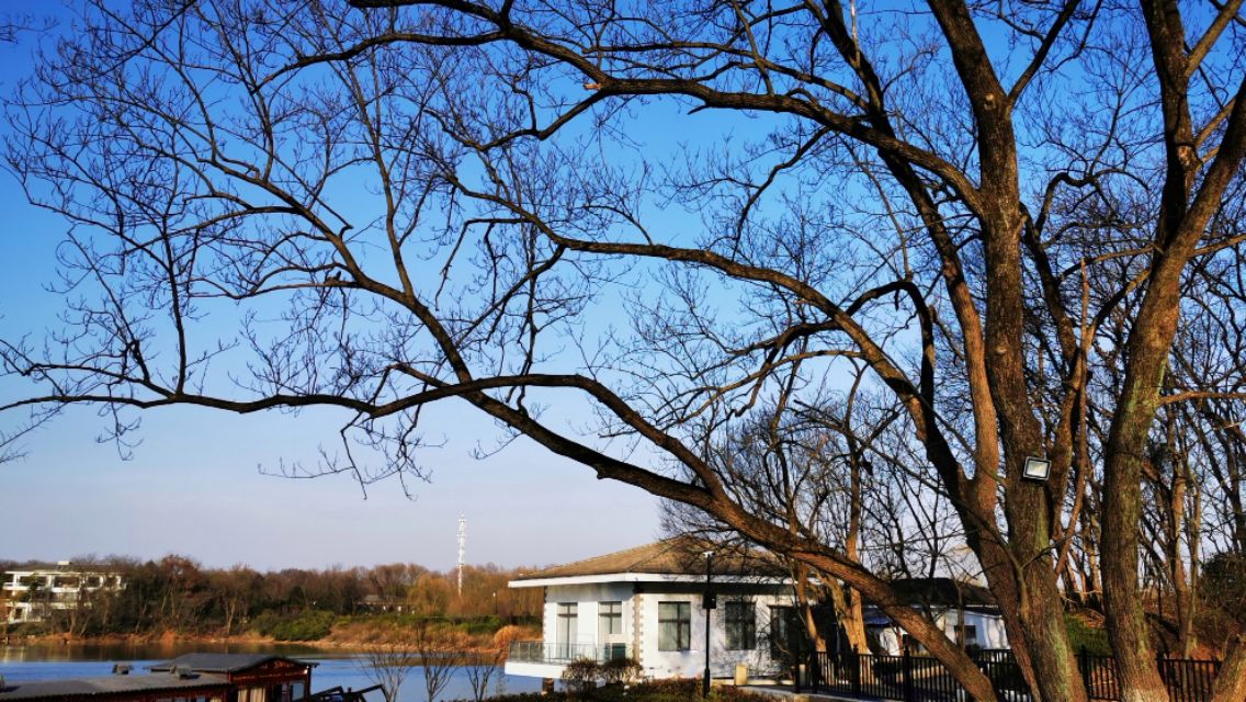 南京紫金山庄酒店,南京紫金山庄