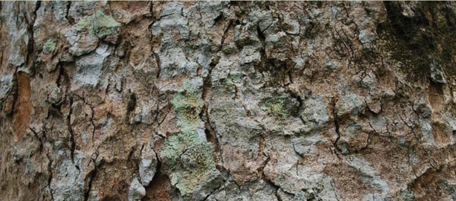 深圳实木家具设计效果图,装修风格大全深圳