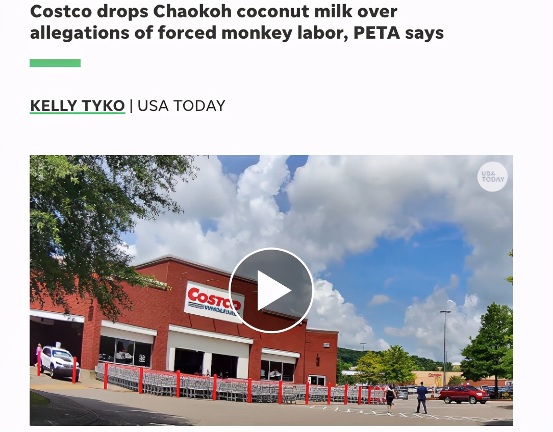 你爱吃的椰子，背后可能有一只泰国“打工猴”血汗故事