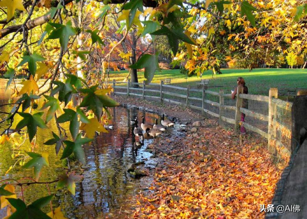 美国康奈尔大学校园风景,美国校园美景