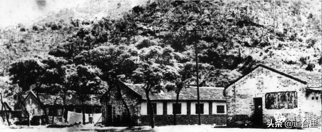 我的母校儿时记忆完整版,椒江二中历史照片