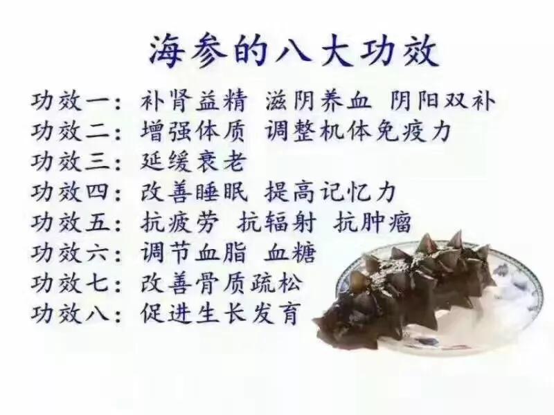 揭开神秘海洋生物世界,揭开神秘的面纱
