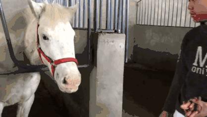 游记|来和兴吧！这里的美景美食每一样都超skr~