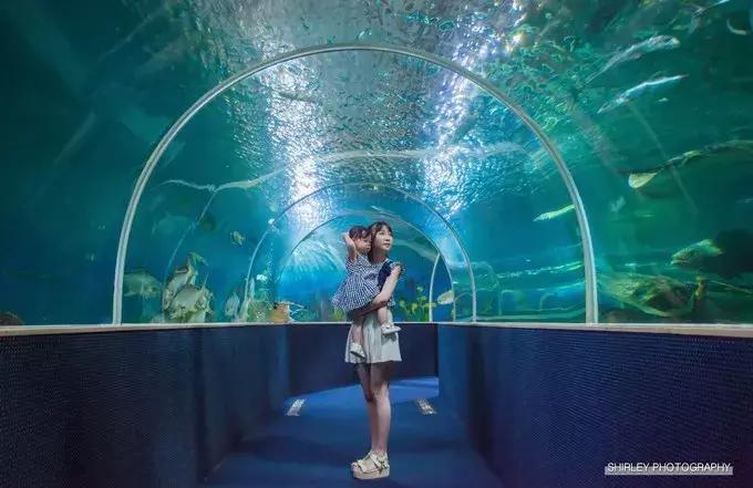 亲，你知道富国岛吗？亲子海岛好去处，不少家长已经带娃去了！