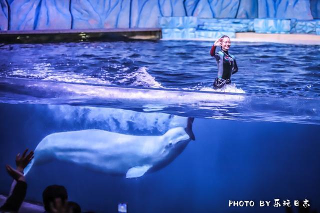 珠海亲子游必玩景点,珠海一日游适合带孩子玩的景点