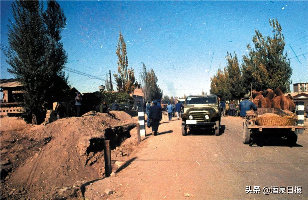 壮丽70年奋斗新时代在线观看,壮丽70年奋斗新时代完整版
