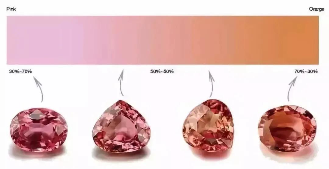 帕帕拉恰介绍,正统帕帕拉恰