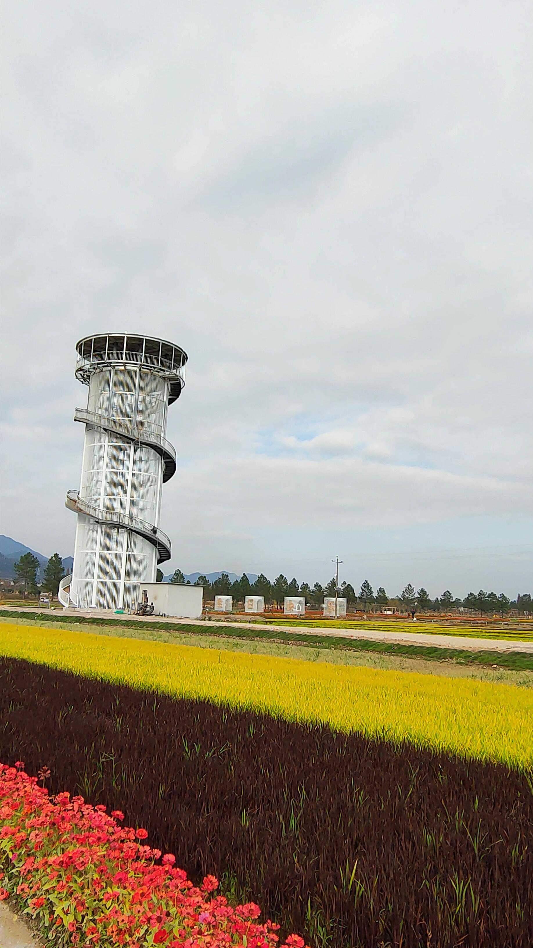 大雪前日访东阳市湖溪镇八里湾