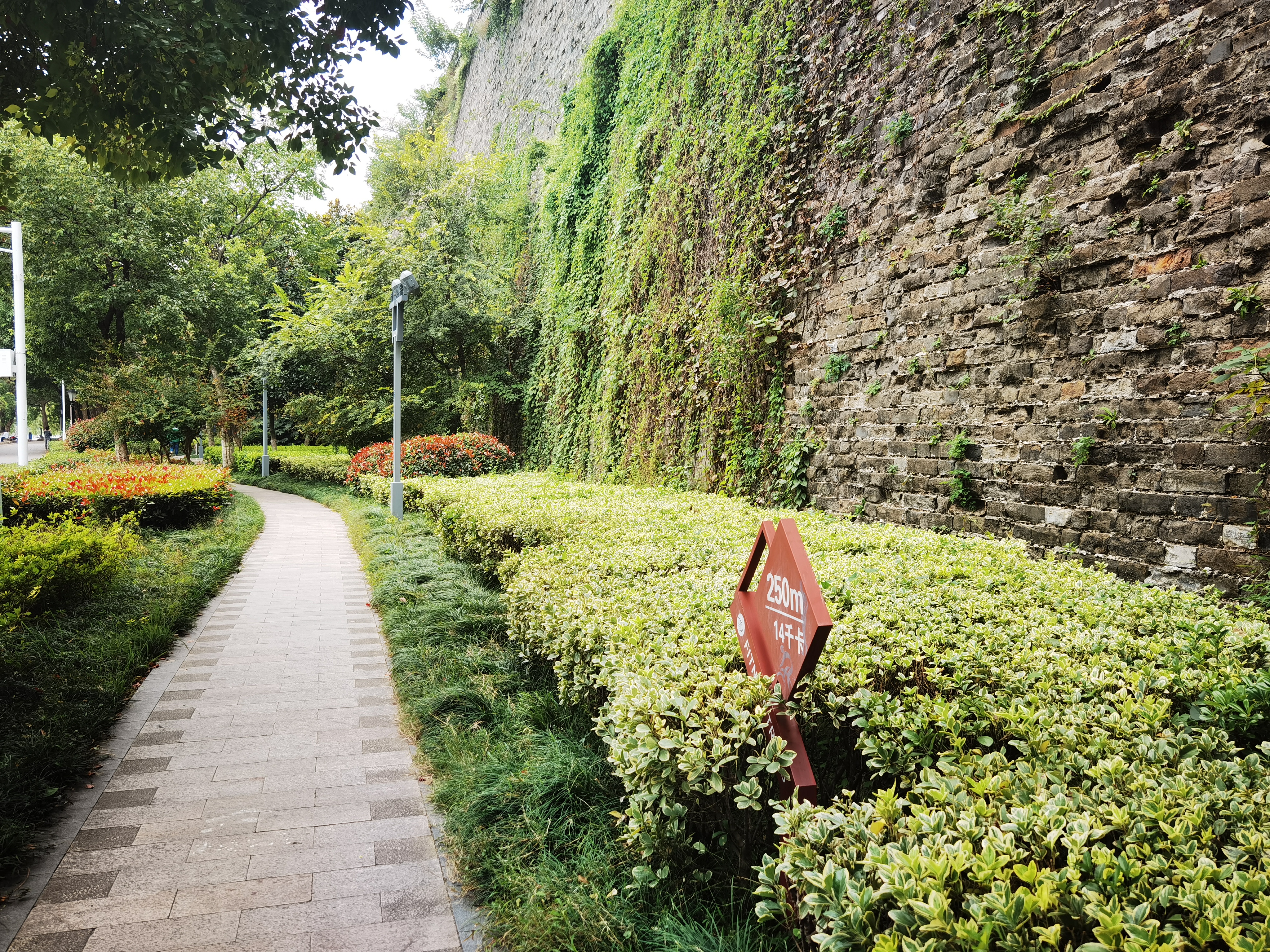 最美健身步道,南京市最美健身步道排名