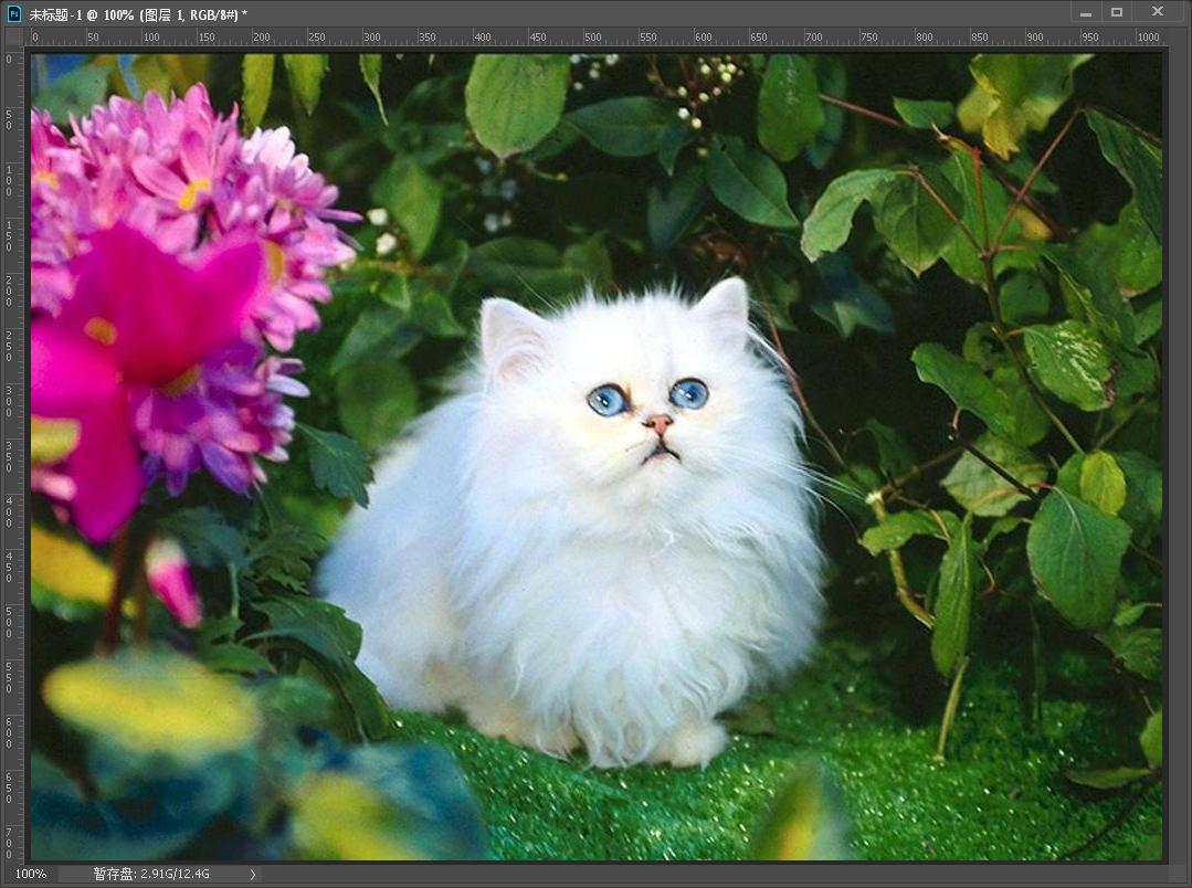 ps抠图毛发详细教程,ps毛发抠图教程详细步骤