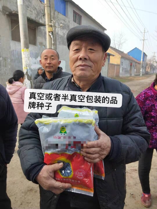 怎样看玉米种的真假,如何辨别新玉米种