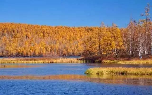 六月我们一起去旅行,九月带你去旅行