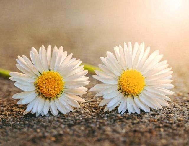 对方把微信拉黑和删除有什么区别,微信被删除和拉黑朋友圈显示什么