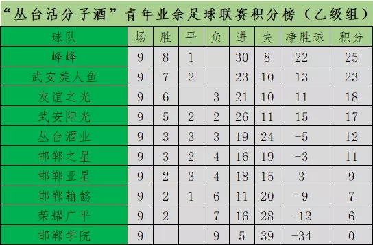2019丛台活分子杯,邯郸市业余足球联赛
