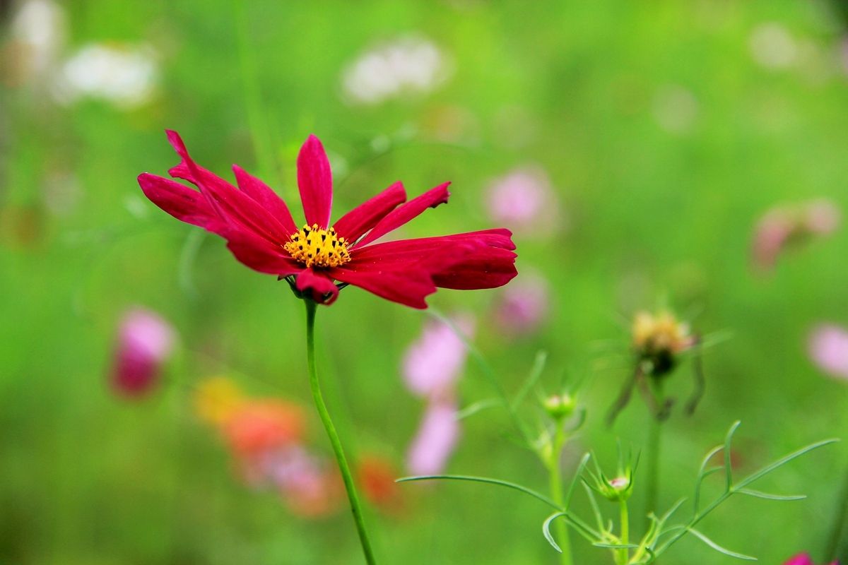 祝福自己生日的唯美句子发朋友圈,立冬的唯美句子朋友圈高质量句子
