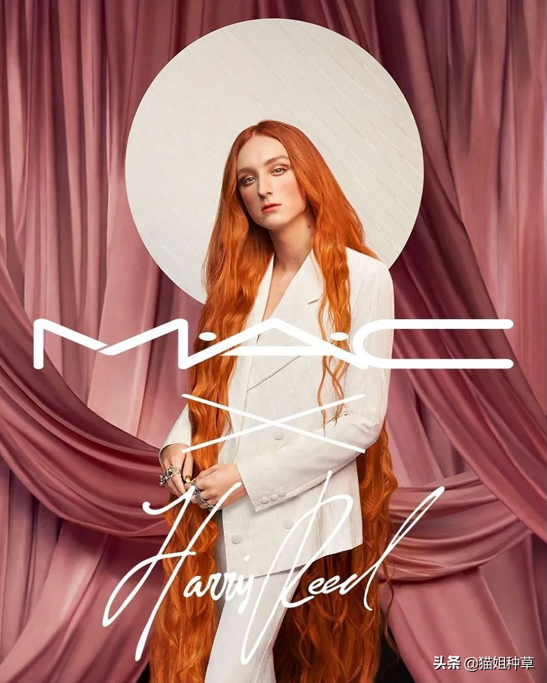 动森要出新作,动森会有新作么