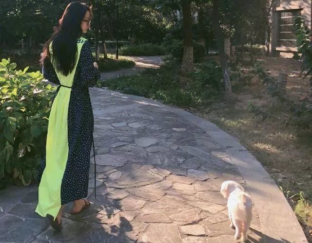 哪些明星养猫最好养,盘点明星们养的宠物