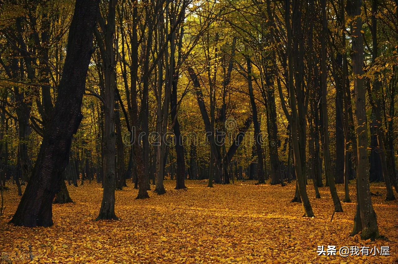 抓住这波红利实现人生逆袭,抓住当下属于你的红利期