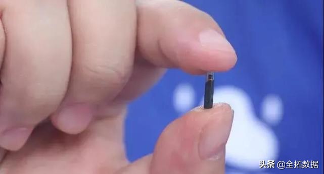 全拓数据怎么样,全拓数据