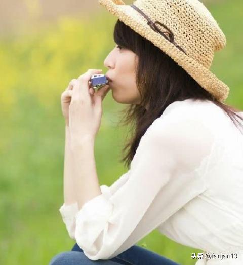 十孔口琴基础教学,口琴基础曲谱