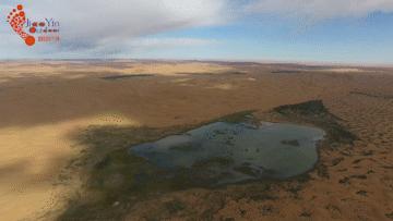 沙漠新手训练营,沙漠早期教育亲子课程