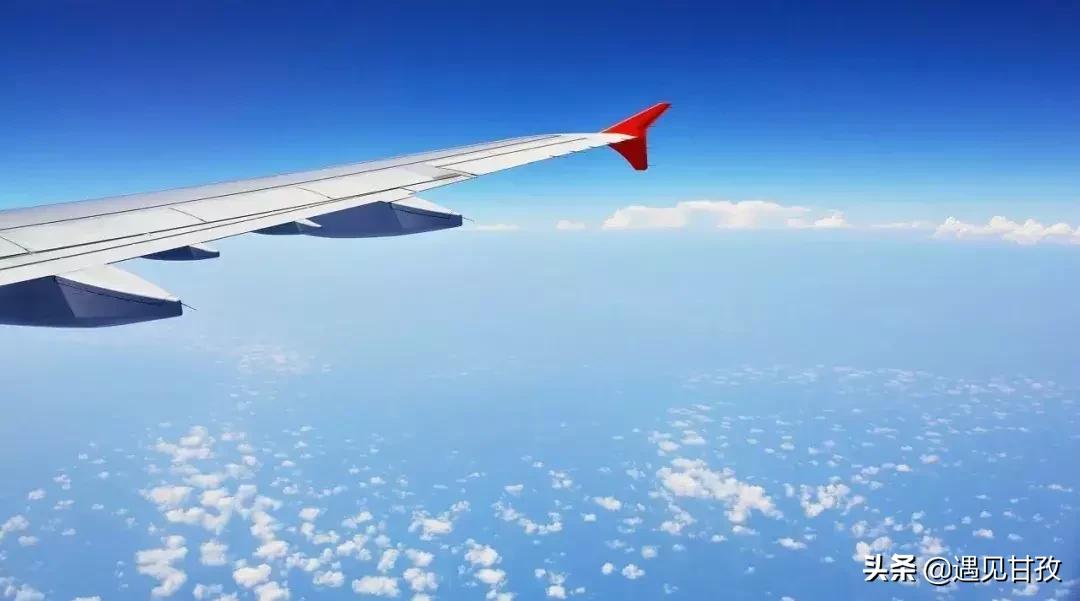 80个关于旅行的冷知识,80个冷知识视频大全