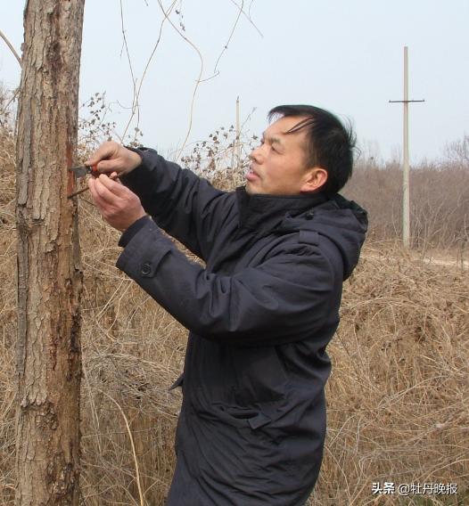 感动菏泽年度人物,2014年感动菏泽人物颁奖仪式视频