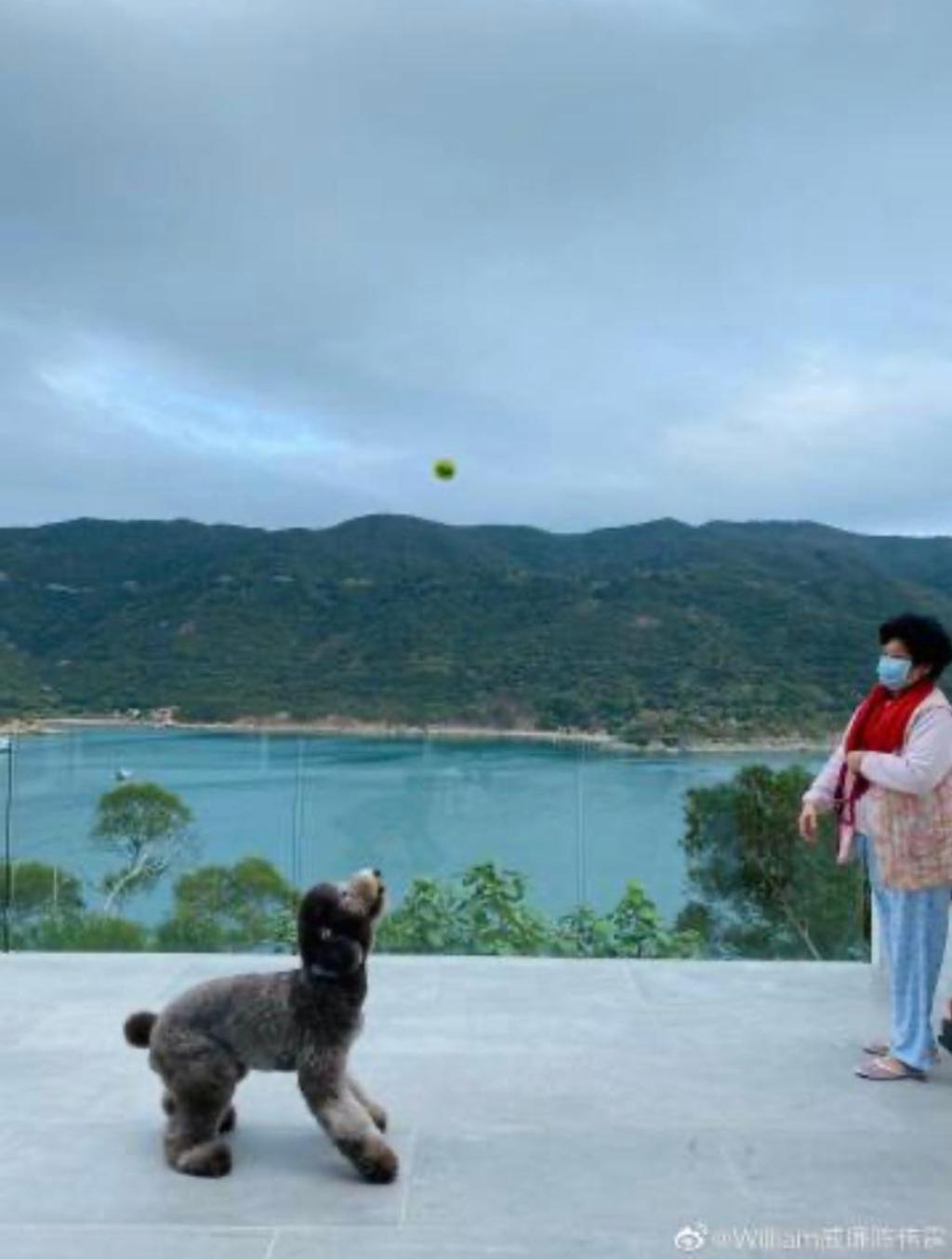 英皇时代的小鲜肉,英皇时期小鲜肉