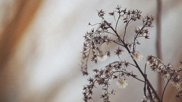 一位普通母亲的逆袭,一位妈妈的逆袭完整版