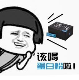 wildfieldhealth蛋白粉测评,wildfieldhealth蛋白粉