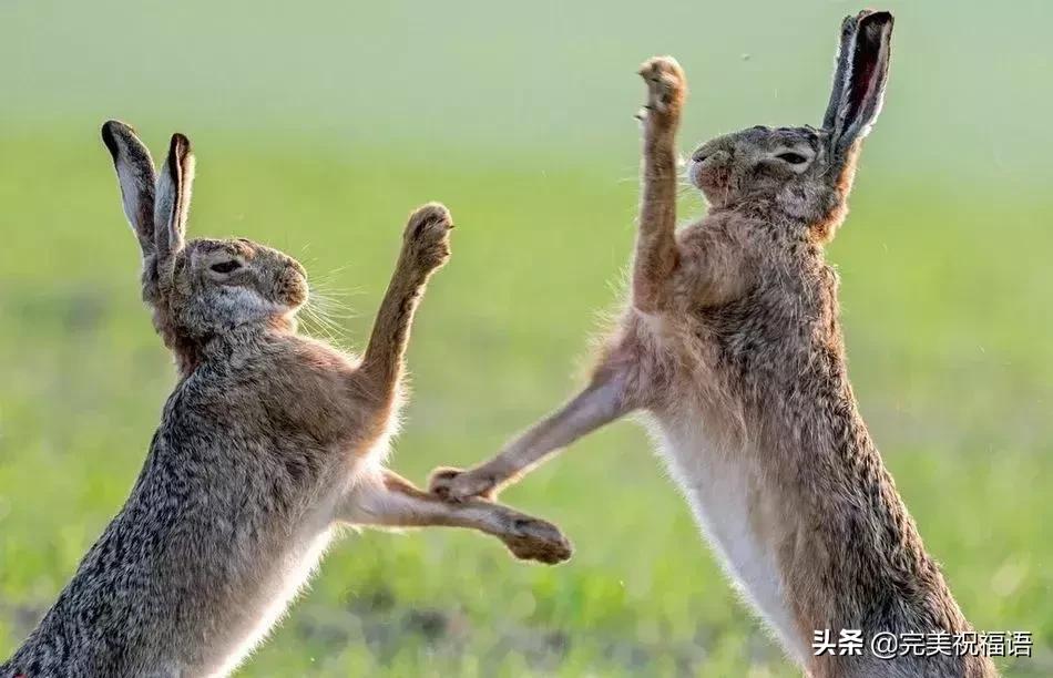 今天2.1，2月第1天，谁编的，太好笑了，给群里乐一乐~