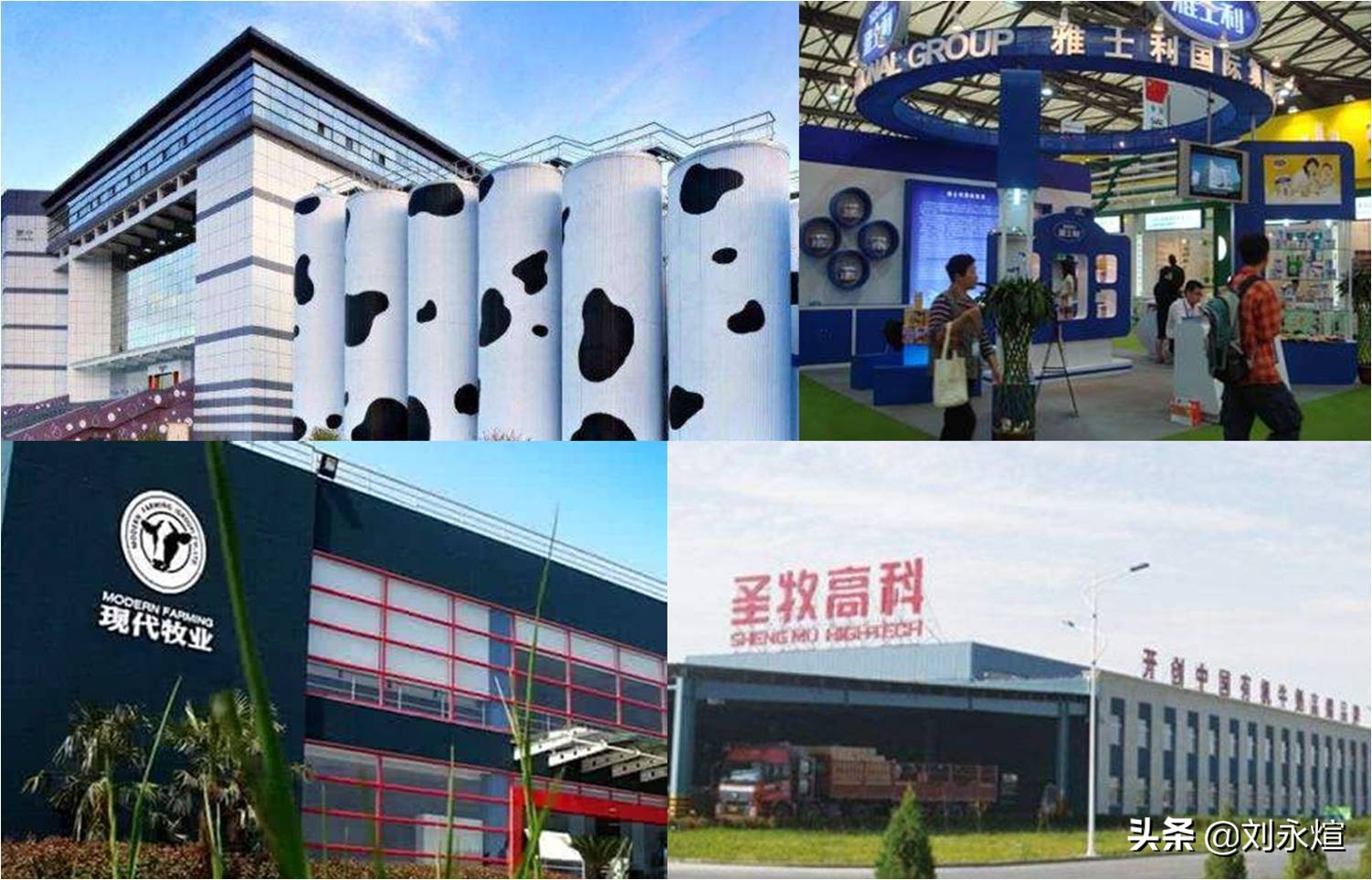 割肉君乐宝，拔草贝拉米踩钢丝：蒙牛对标双千亿之惑