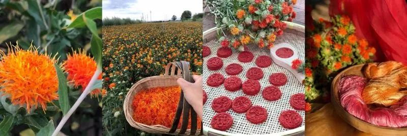 板蓝根做的衣服,用板蓝根染衣服