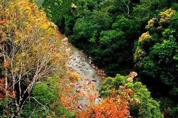 乐东一座什么样的小城,海南乐东最好的城市