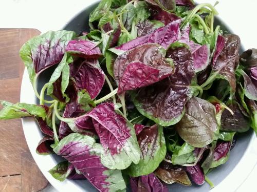 原来虾皮并不补钙,原来补钙也有讲究