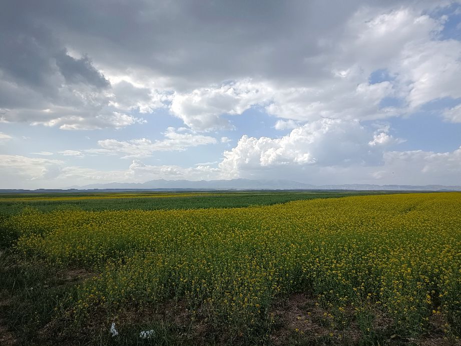 电商直播带货培训班讲话,电商直播带货培训技巧文案