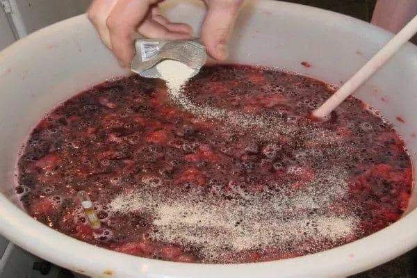 葡萄酒酿造过程需要多长时间,芒康葡萄酒酿造过程