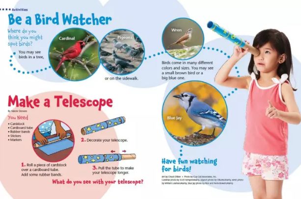 班主任推荐的书目,班主任方面的杂志推荐